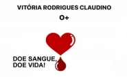Menina que sobreviveu a grave acidente na BR-470 precisa de doação de sangue