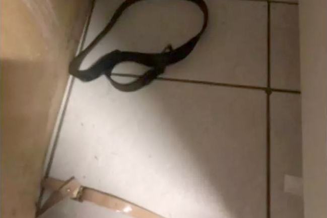 Homem  preso por agredir companheira grvida em Indaial