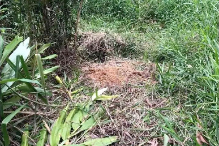 Corpo de homem é encontrado ao lado de pedra com sangue em mata de Blumenau