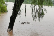 Nível do rio Itajaí-Açu estabiliza e começa a diminuir em Gaspar