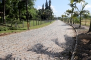 Lançada licitação para revitalização do trecho 2 da rua Prefeito Leopoldo Schramm