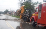 Vídeo mostra momento em que árvore cai em rodovia em Ilhota - pista já está liberada