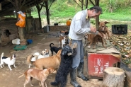 Abandono de animais cresce em Gaspar e abrigo superlotado precisa de ajuda 