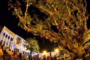 Prefeitura de Gaspar vai premiar casa e com�rcio mais bem decorados para o Natal