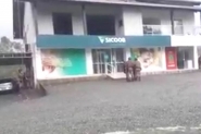 Vídeo mostra policiais se aproximando de agência com bandidos e reféns em Ilhota
