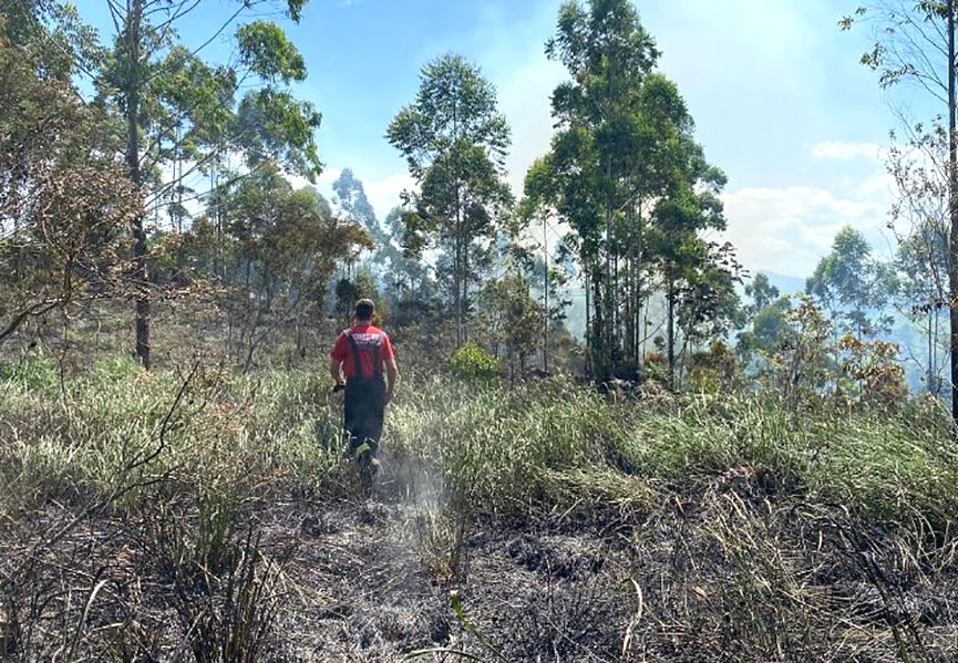 Bombeiros Voluntários combatem incêndio em vegetação em Ilhota