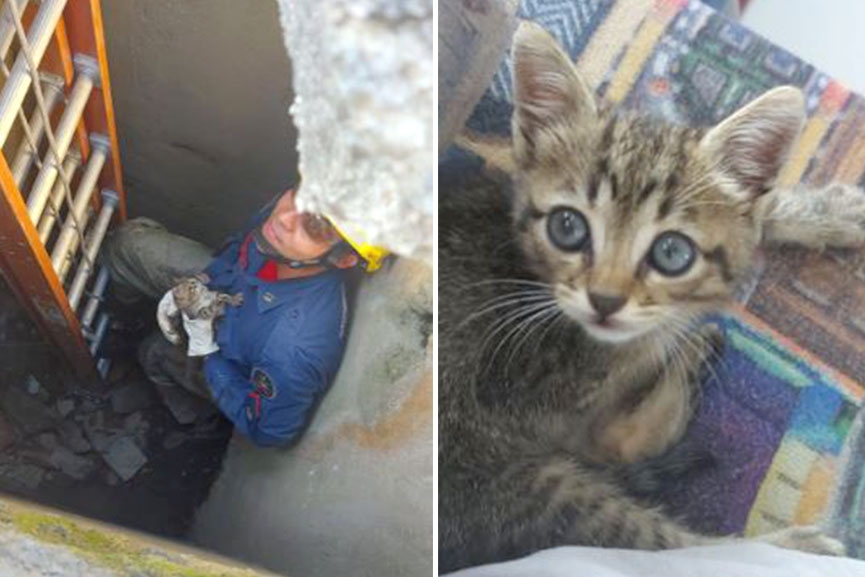 Gato fica preso em tubulação de esgoto e é resgatado no Poço Grande, em Gaspar