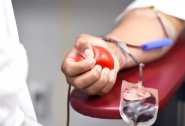 Hemosc fecha 2022 com aumento no número de doações de sangue