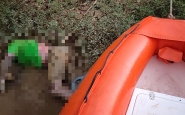 Corpo em avan�ado estado de decomposi��o � encontrado boiando no rio, em Gaspar