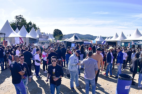 Faltam dois meses para o Stammtisch de Gaspar: saiba como participar