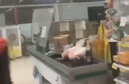Vídeo mostra força do vento atingindo mercado em Blumenau