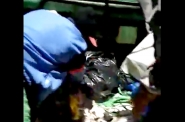Gato é encontrado vivo e preso em saco dentro de lixo na Margem Esquerda, em Gaspar