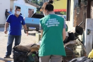 Casos de dengue em Gaspar tiveram aumento de 20% nos últimos 30 dias