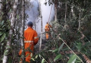 Bombeiros levam quatro horas para apagar fogo em vegeta��o no Centro de Gaspar