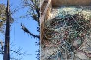 Furto em fiação na Ponte do Vale e antigo terreno da Furb causa prejuízo de R$100 mil à prefeitura de Gaspar