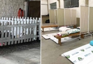 Prefeitura ativa mais um abrigo em Gaspar; ambos têm espaço para pets