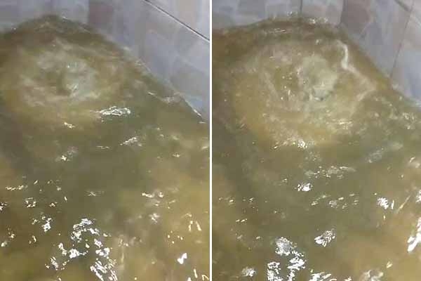Problema em tubulação faz água jorrar pelo ralo em casas de Ilhota