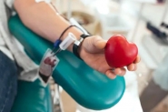 Hemosc estimula manutenção de estoques através da doação de sangue