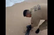 Policiais entram no mar e salvam homem que se afogava na Praia do Rosa