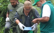 Gaspar tem 41 confirmações de dengue, 250 casos em investigação e 265 focos do mosquito