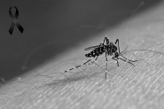 Gaspar confirma primeira morte por dengue; vítima é idoso do Bela Vista