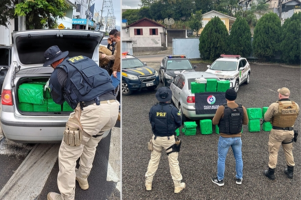 Motorista que levava quase 250kg de maconha tenta fugir, bate em carro e acaba preso no Sul de SC