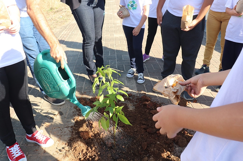 Alunos da escola Ervino Venturi plantam rvores nativas da Mata Amaznica em Gaspar