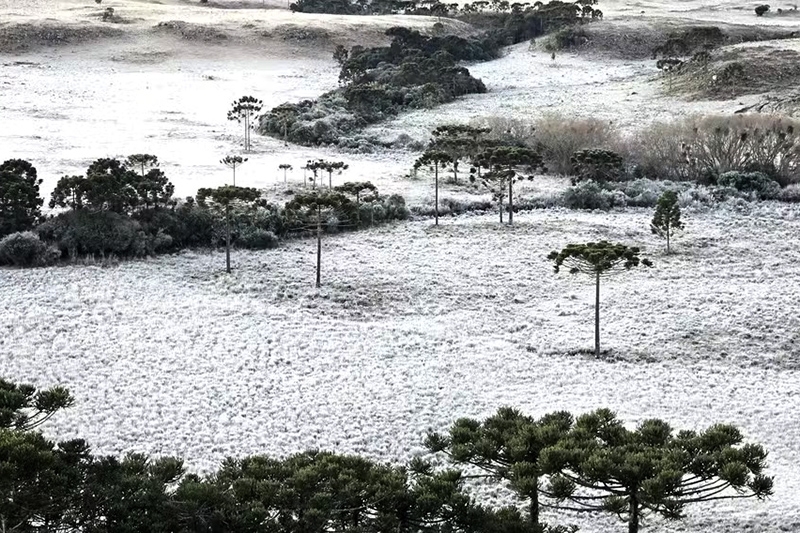 Semana comea com temperaturas negativas na Serra catarinense