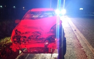 Cavalo morre após ser atropelado por carro na BR-470, em Gaspar