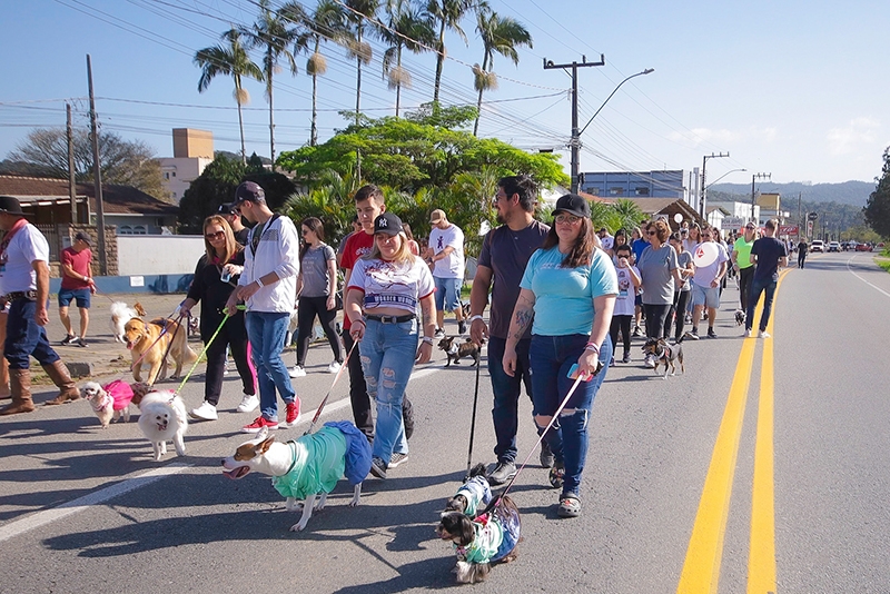 Domingo � dia de C�ominhada da TV Gaspar; saiba como se inscrever
