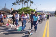 Domingo � dia de C�ominhada da TV Gaspar; saiba como se inscrever
