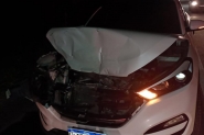 Motorista freia para n�o atropelar cachorro e colis�o traseira � registrada na Jorge Lacerda, em Gaspar