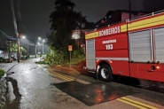 Bombeiros são acionados para corte de árvore no Santa Terezinha na madrugada desta sexta