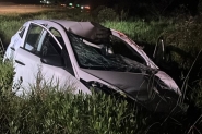 Égua prenha morre atropelada na BR-470, em Ilhota