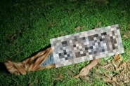 D�vida de R$70 motivou assassinato com oculta��o de cad�ver em Rio dos Cedros