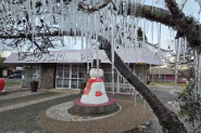 SC registra nova menor temperatura do ano: -8C em Urupema