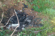 Crueldade: co  incendiado e morre em Ilhota