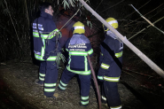 Bambuzal pega fogo em Ilhota e bombeiros so acionados 