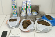 Traficante  preso com quase 10kg de maconha no Figueira, em Gaspar