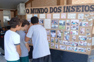 Escolas municipais de Gaspar exploram ci�ncia e tecnologia em sala de aula