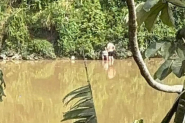 Homem entra no rio e consegue salvar mulher que pulou de ponte no Centro de Gaspar