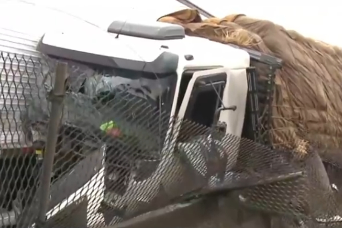 Caminhão com quase 20 toneladas de melancias é esmagado por carreta após motorista cochilar na BR-101, em SC