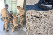 Morador encontra artefato explosivo e esquadrão antibombas é acionado no Alto Vale