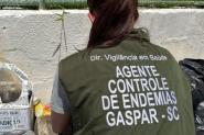 Quatro bairros de Gaspar est�o com risco m�dio de infesta��o de Dengue; demais s�o classificados como risco baixo