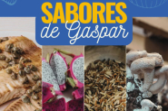 Prefeitura de Gaspar lança livreto com receitas que valorizam a gastronomia local