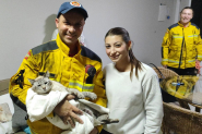 Gato desaparecido � encontrado preso em duto de churrasqueira em Gaspar